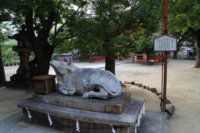 菅原神社の狛犬