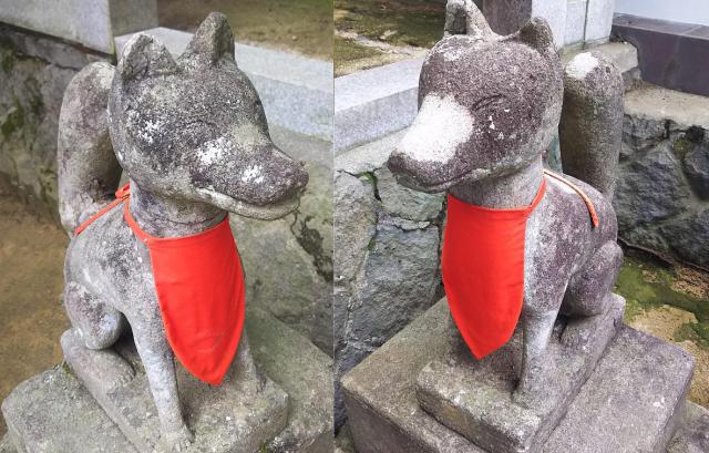櫻山八幡宮の狛犬