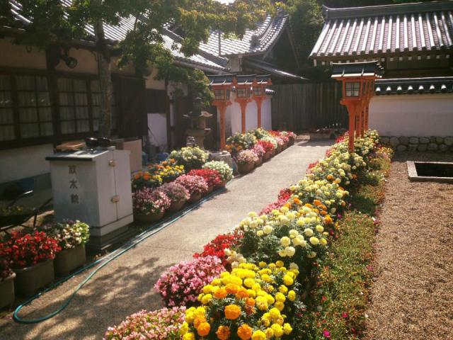 錦織神社の庭園