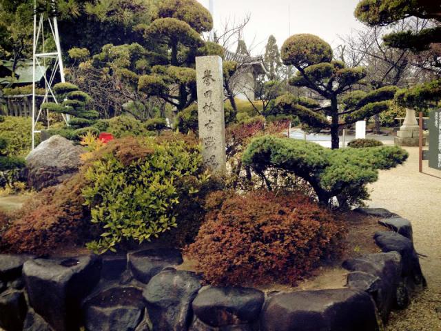 誉田八幡宮の庭園