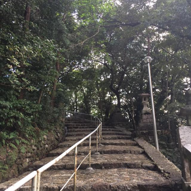 高知県護国神社の自然