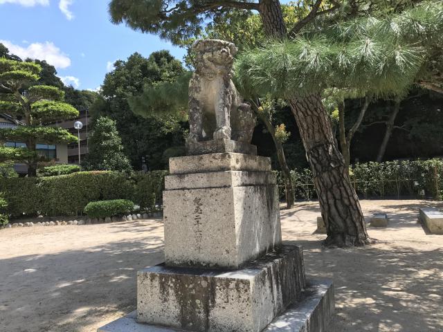 鶴羽根神社の狛犬
