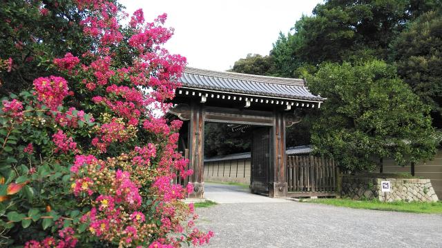 梨木神社の自然