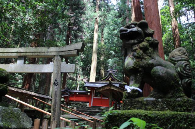 室生龍穴神社の狛犬