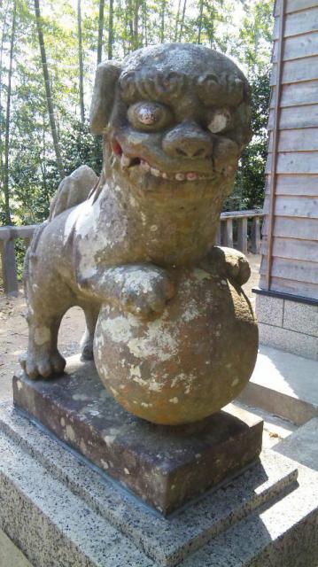 大将軍神社の狛犬