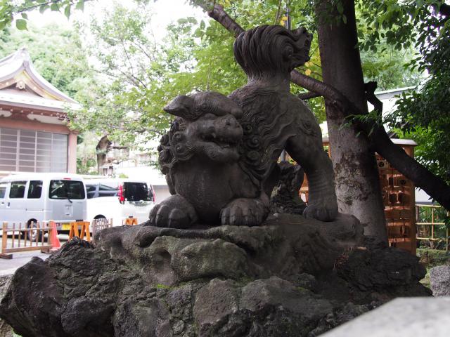新宿下落合氷川神社の狛犬