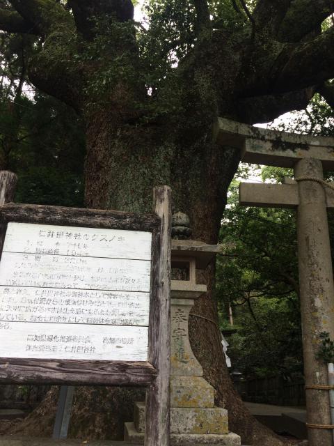 仁井田神社の自然