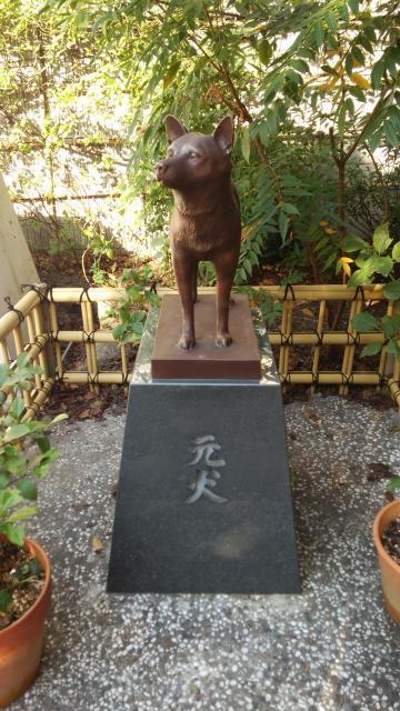 蔵前神社の狛犬