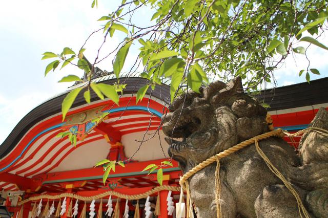 玉造稲荷神社の狛犬