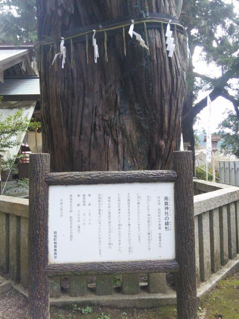 高倉神社の自然