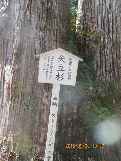榛名神社の自然