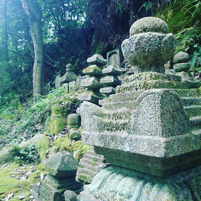 三瀧寺のお墓