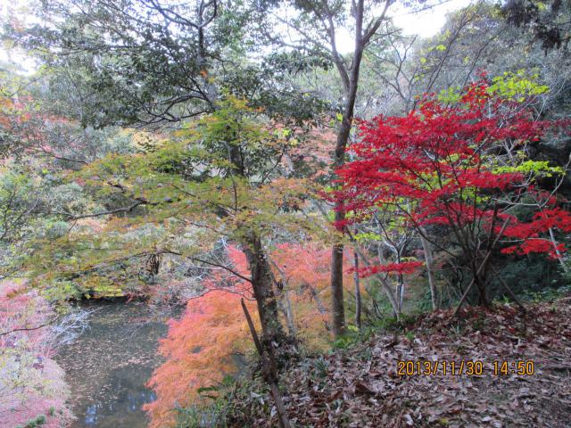 小松寺の庭園