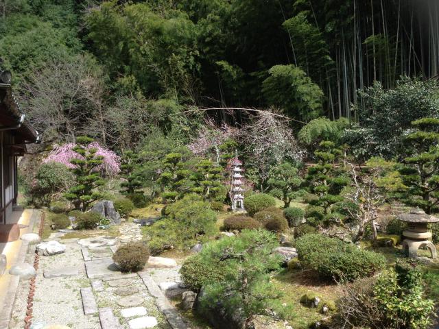 満正寺の庭園