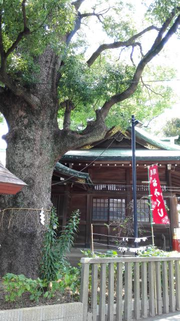 立石熊野神社の自然