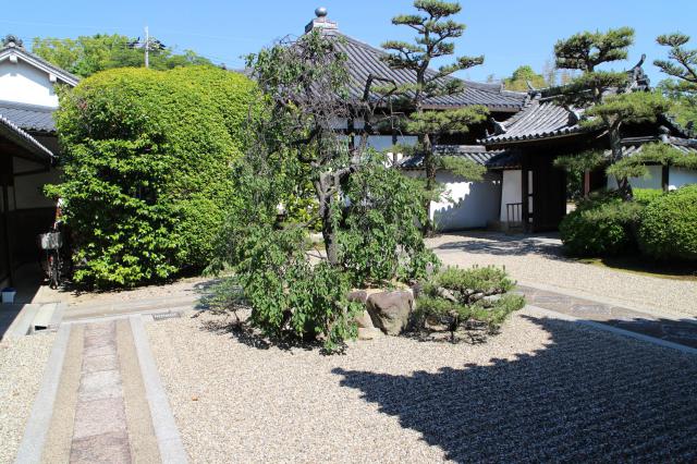 道明寺の庭園