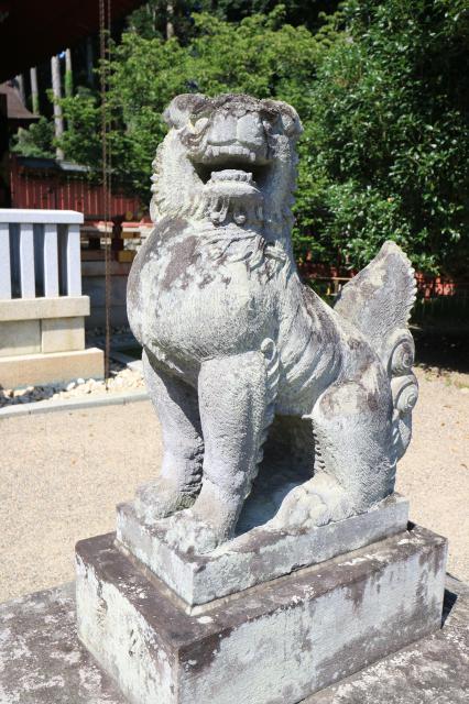 志波彦神社・鹽竈神社の狛犬