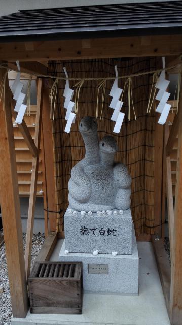 蛇窪神社の狛犬