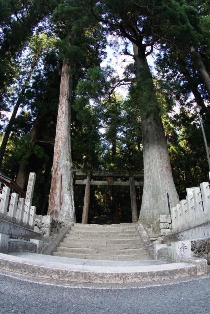 室生龍穴神社の自然