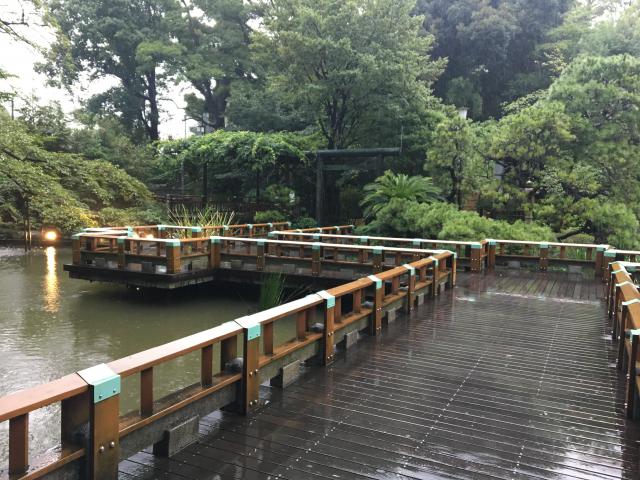 東郷神社の庭園