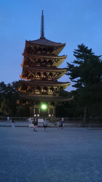 興福寺の塔