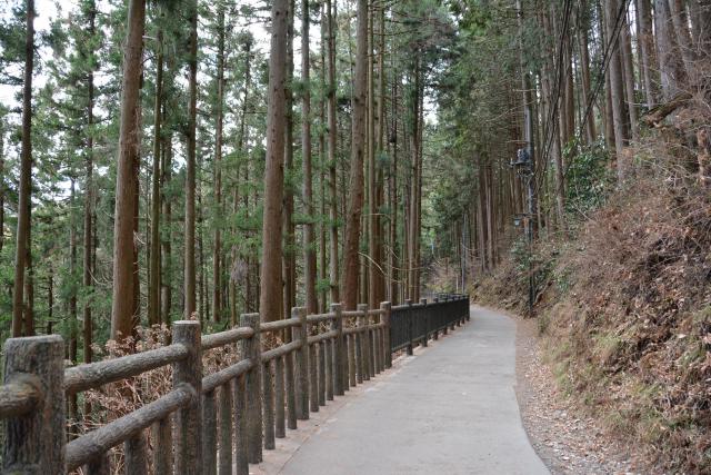武蔵御嶽神社の自然
