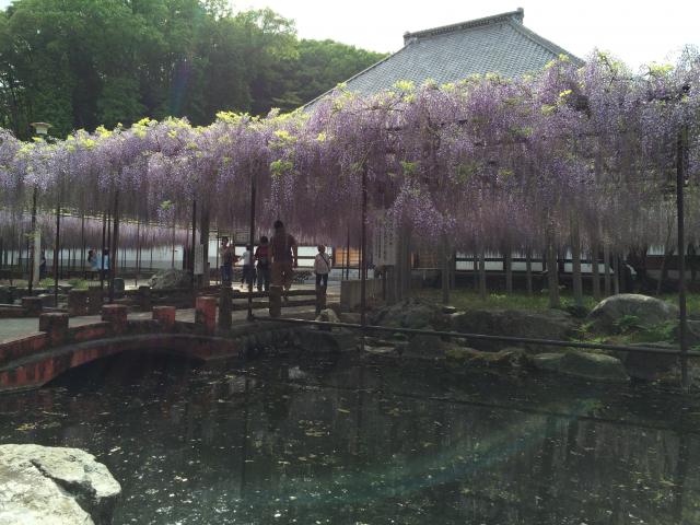 長泉寺の庭園