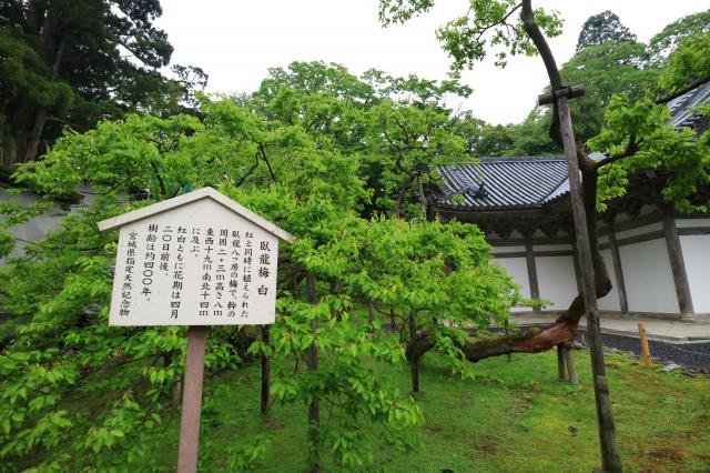 瑞巌寺の歴史