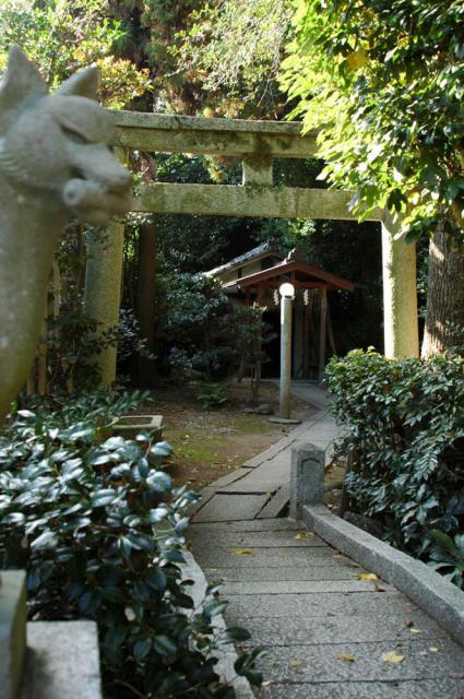 木嶋坐天照御魂神社の狛犬