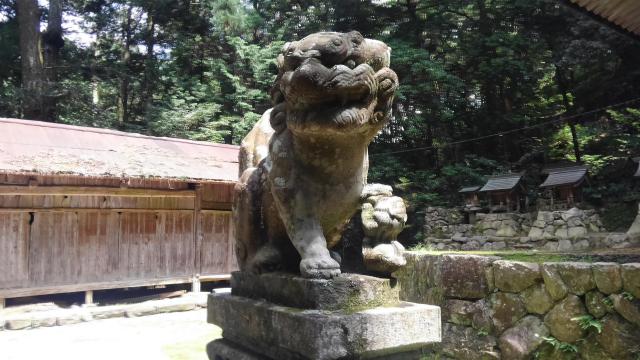黒石住吉神社の狛犬