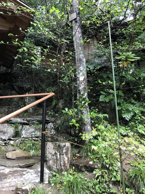宝登山神社の自然