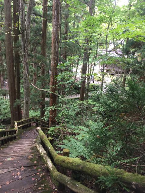 十和田神社の自然