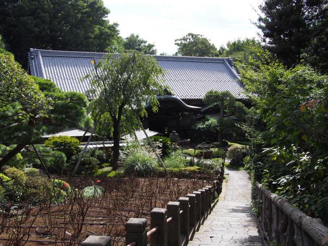 薬王院の庭園