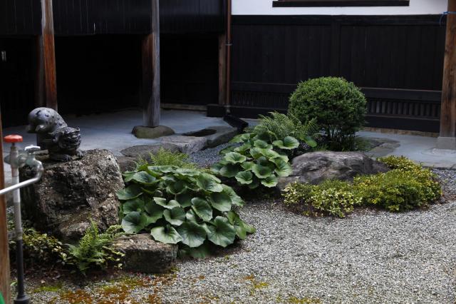 圓光寺の庭園