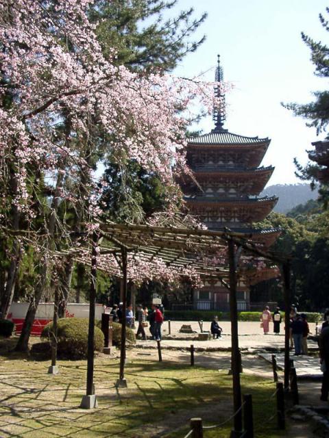 醍醐寺の塔