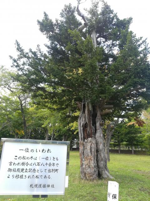 札幌護國神社の自然