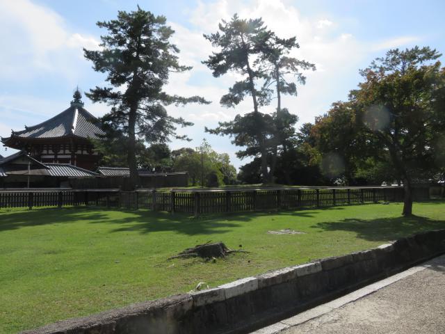 興福寺の庭園