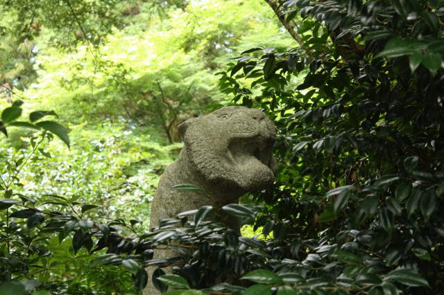 多聞寺の狛犬