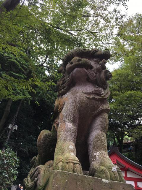 江島神社の狛犬