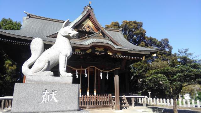 一瓶塚稲荷神社の狛犬