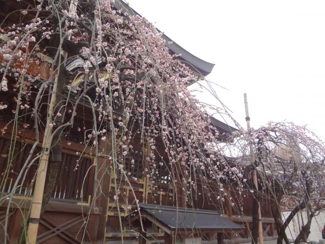 関東 合格祈願にオススメの神社 お寺8選 最新版 ホトカミ