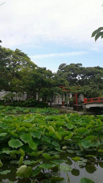 鶴岡八幡宮の庭園