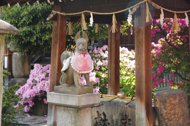 富士浅間神社の狛犬