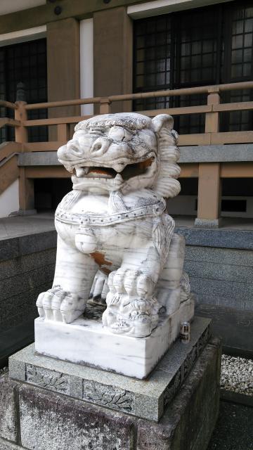 妙円寺の狛犬