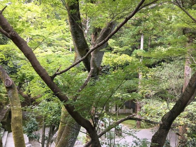 今熊野観音寺の自然