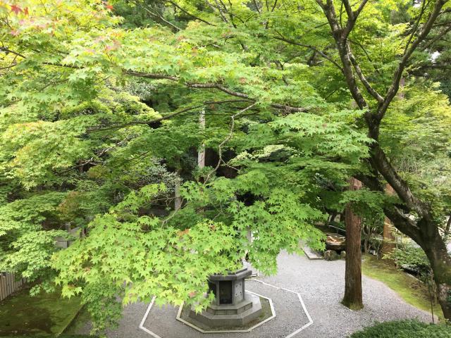 今熊野観音寺の自然