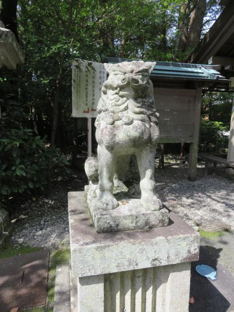 猿田彦神社の狛犬
