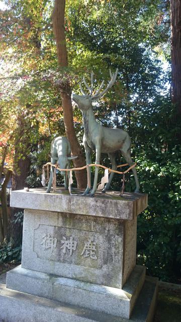 小槻神社の狛犬