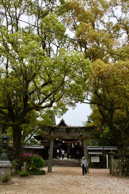 吉香神社の自然