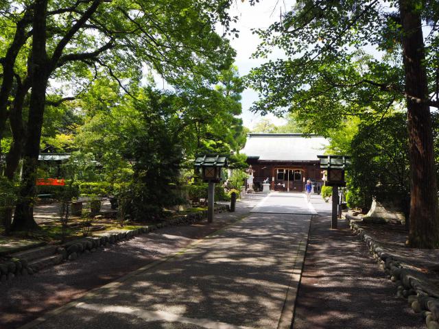 大井神社の自然